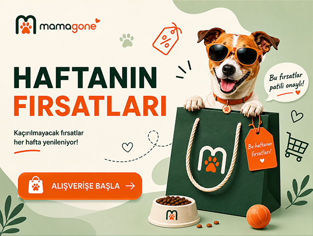 Haftanın fırsatları, her hafta yenilenen indirimler