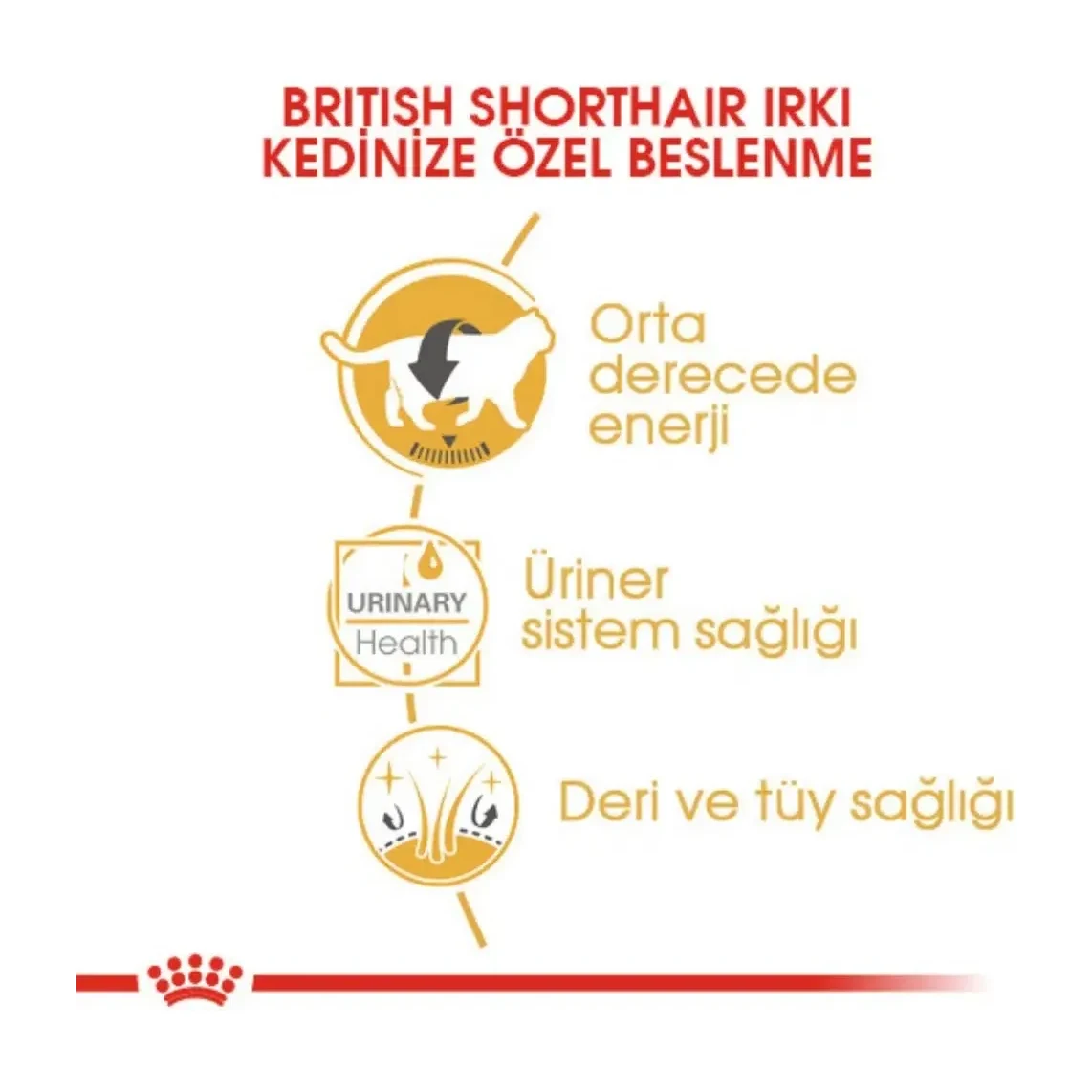 Görsel küçük resim 4
