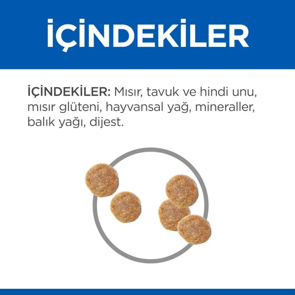 Görsel küçük resim 6