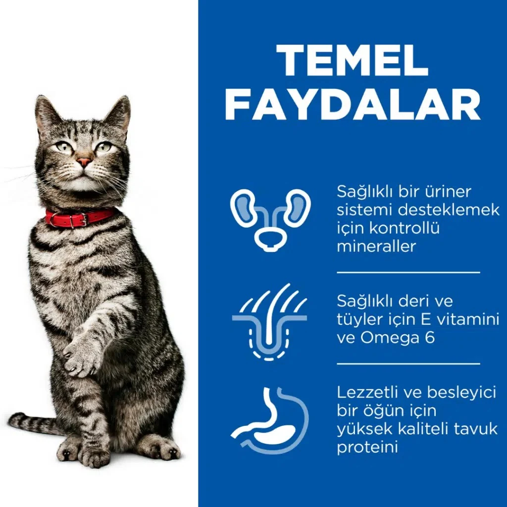 Görsel küçük resim 5