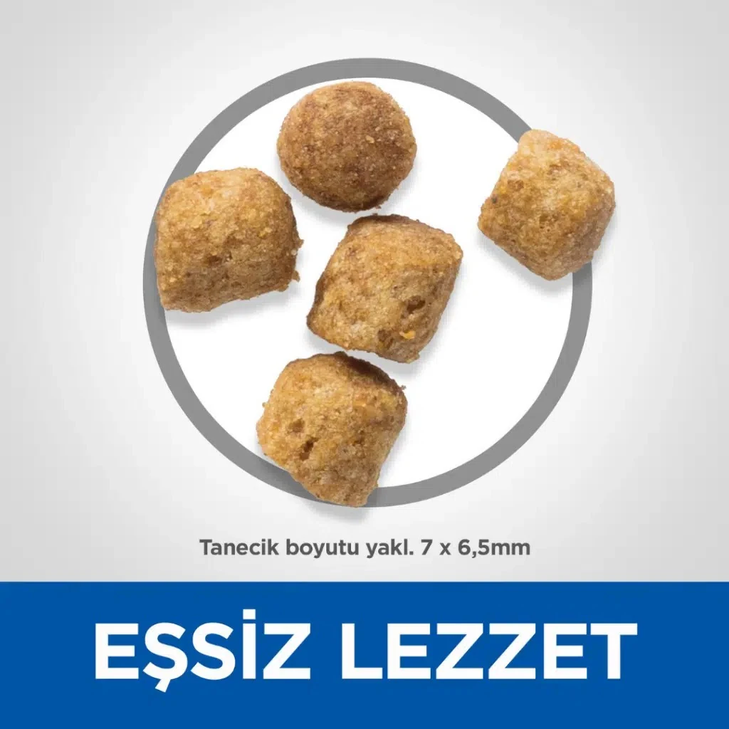 Görsel küçük resim 8