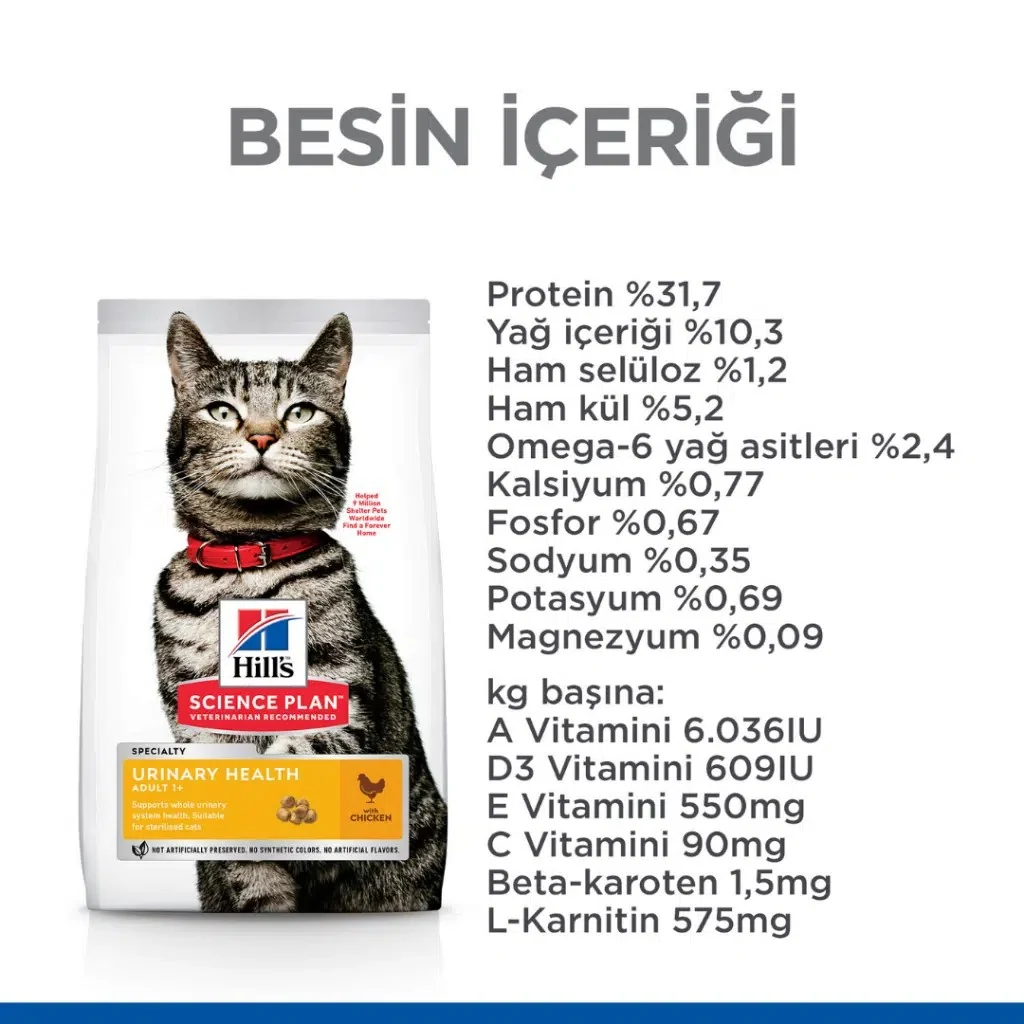 Görsel küçük resim 7