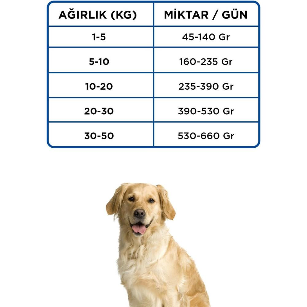 Görsel küçük resim 2