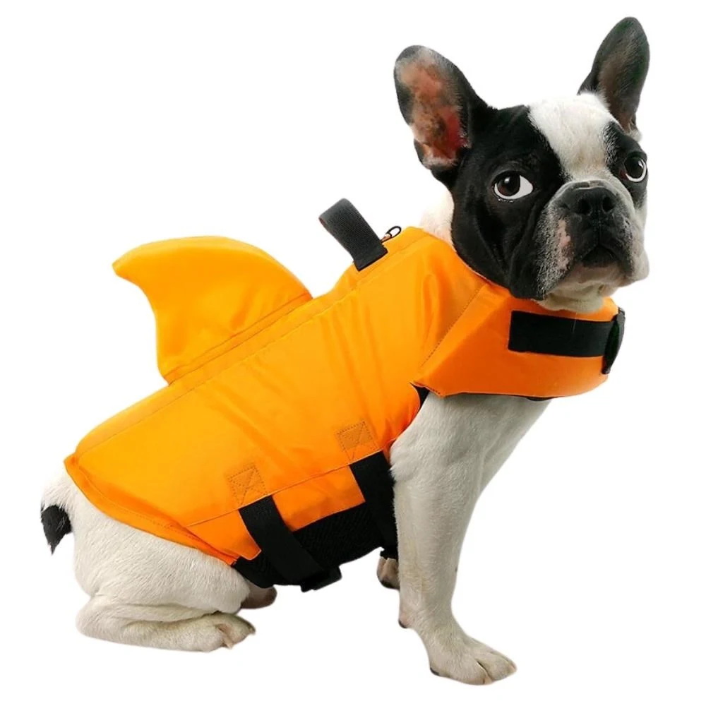 Lion Shark Köpek Can Yeleği M