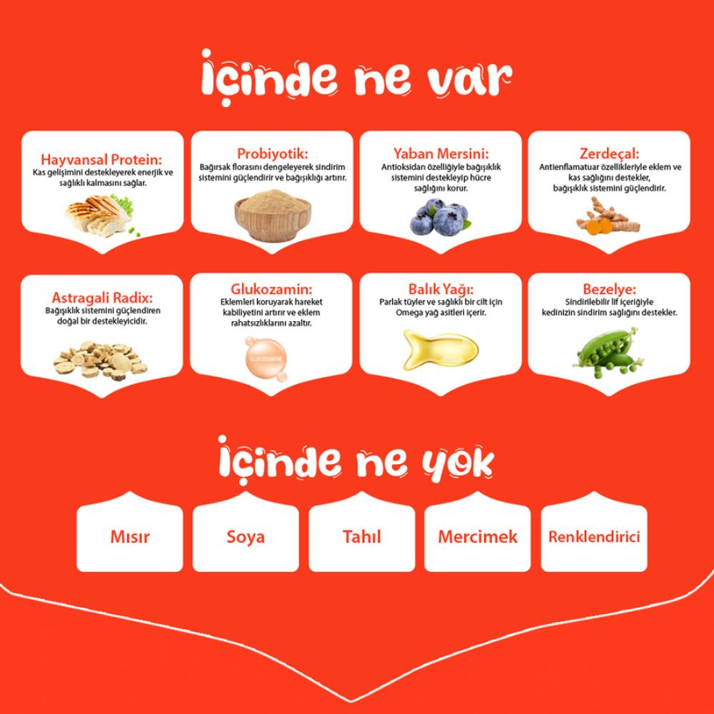 Görsel küçük resim 2