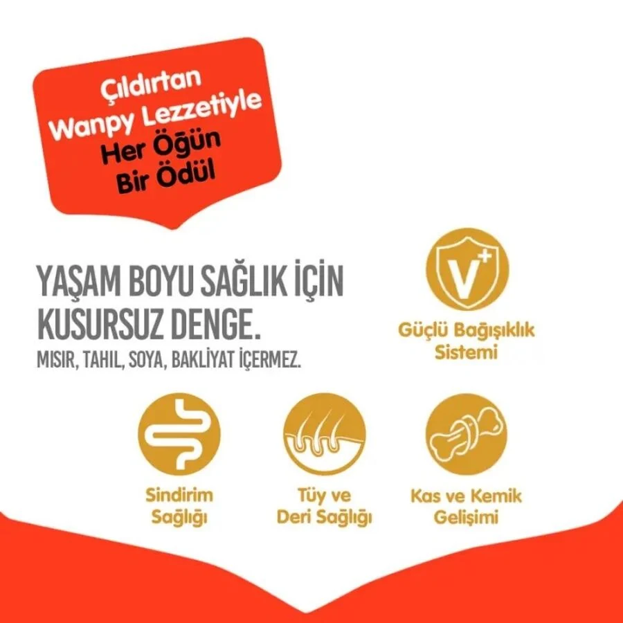 Görsel küçük resim 8