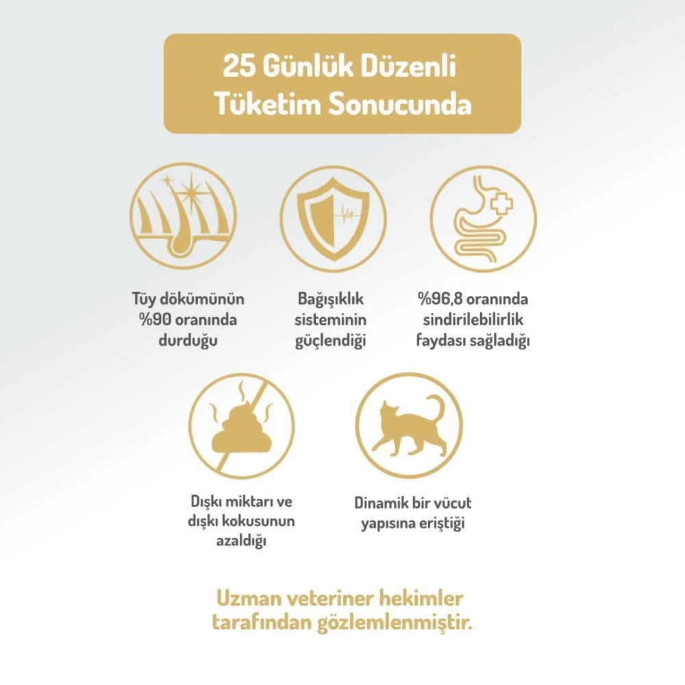 Görsel küçük resim 5