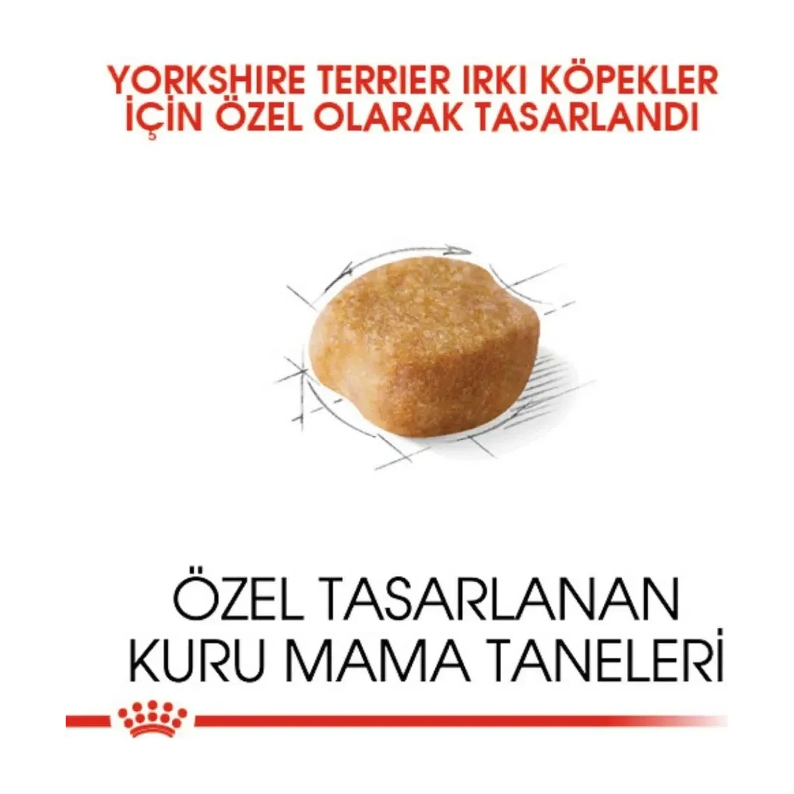Görsel küçük resim 3