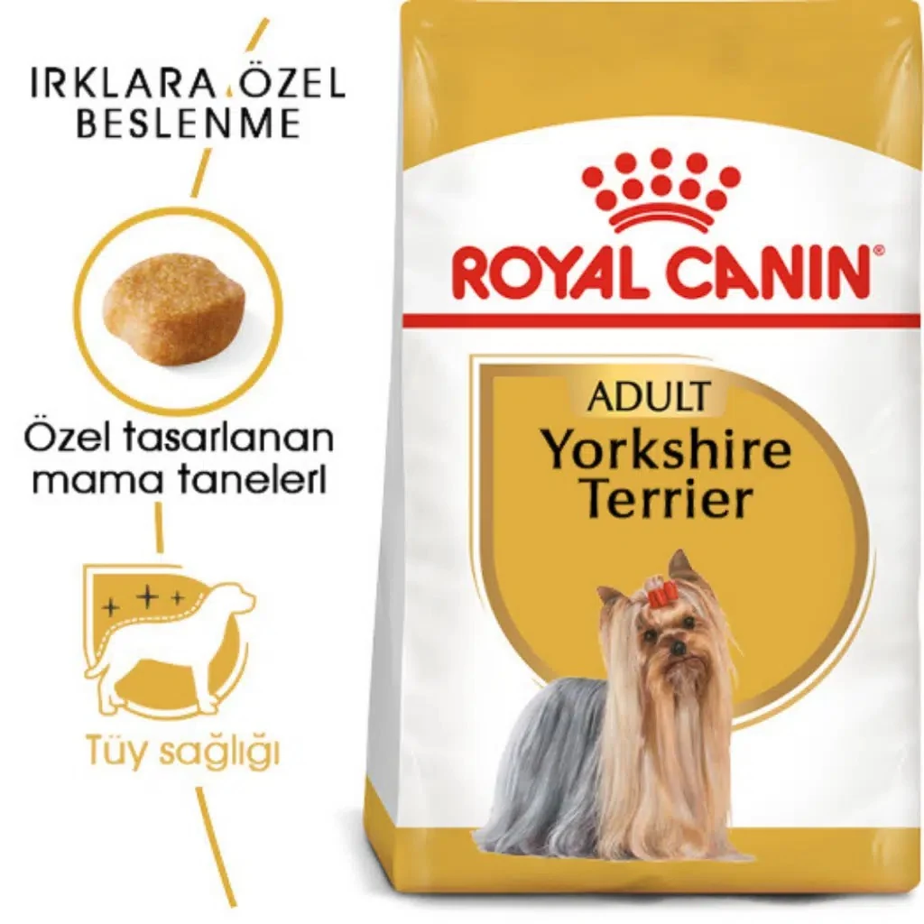 Görsel küçük resim 2