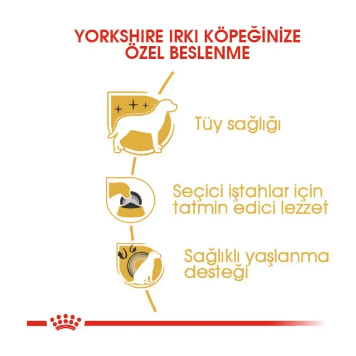 Görsel küçük resim 5