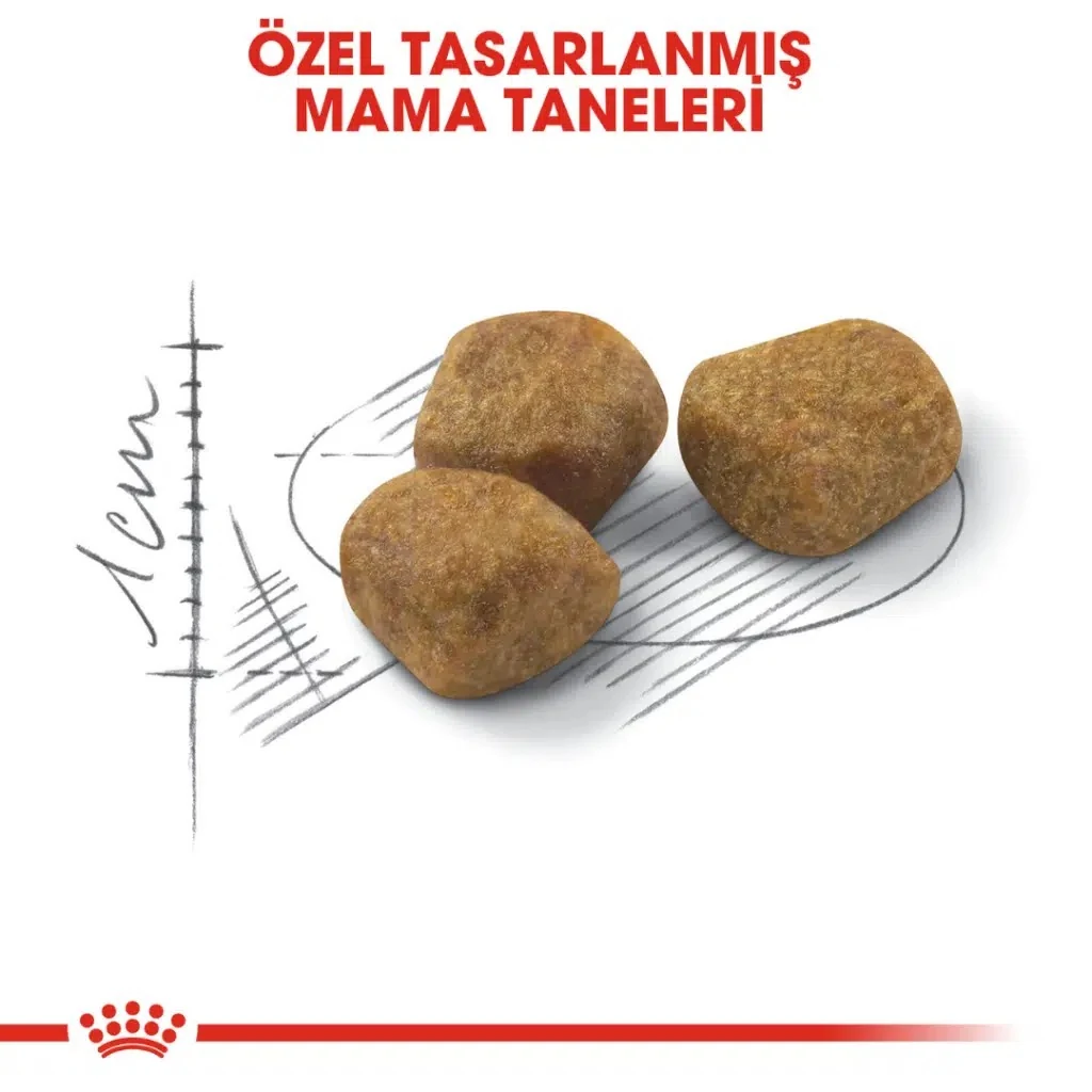 Görsel küçük resim 3