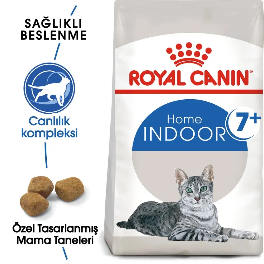 Görsel küçük resim 2