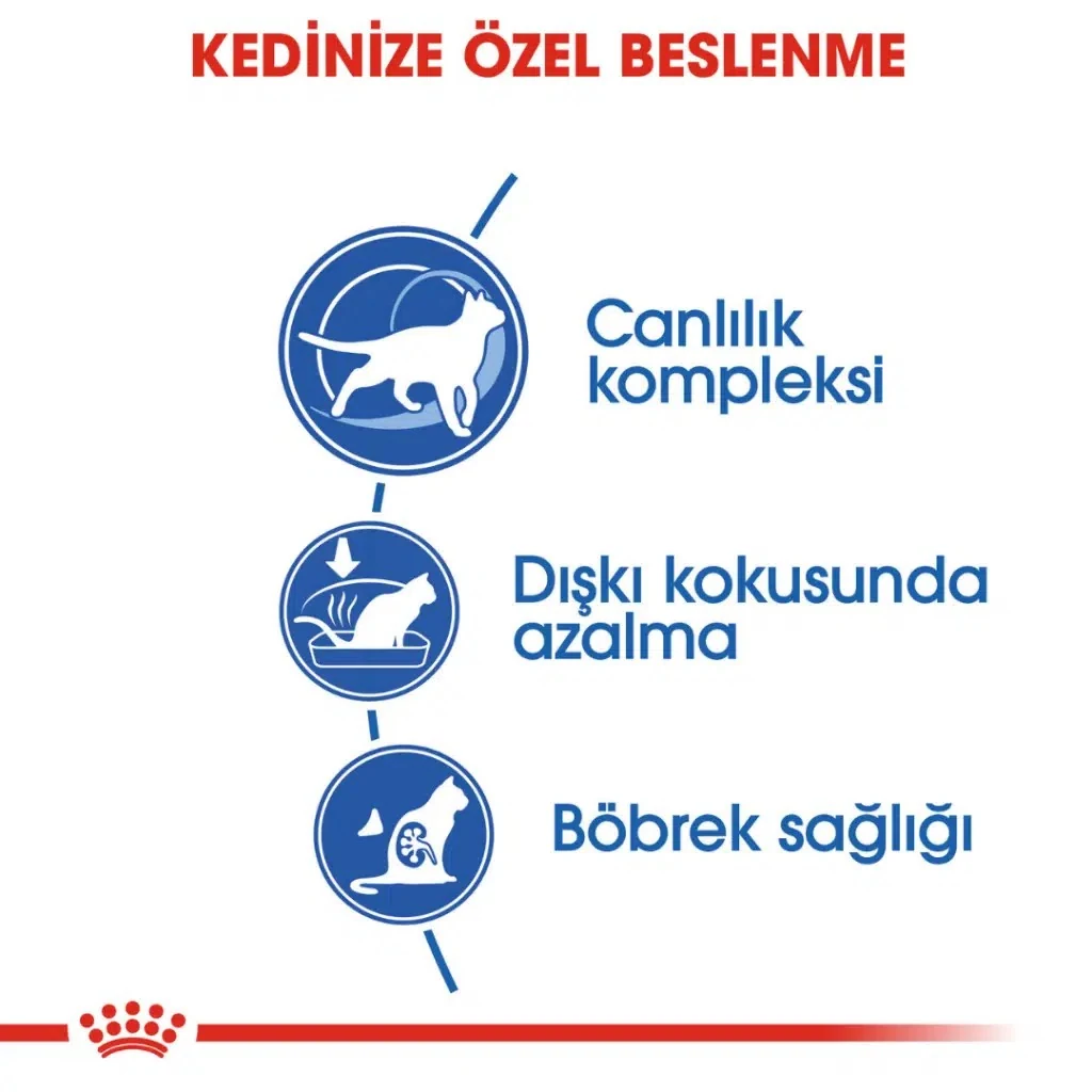 Görsel küçük resim 5