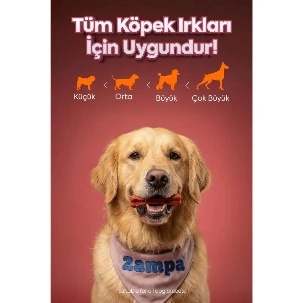 Görsel küçük resim 4