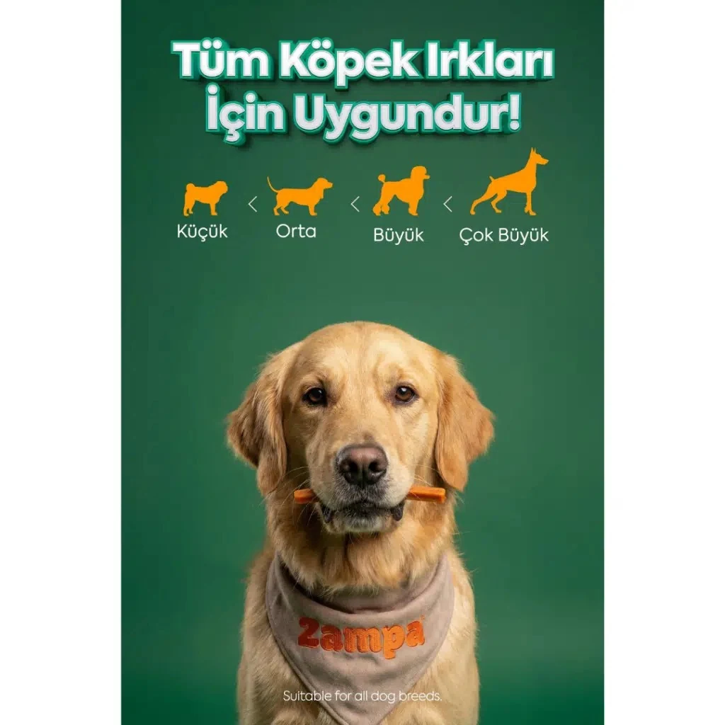Görsel küçük resim 4