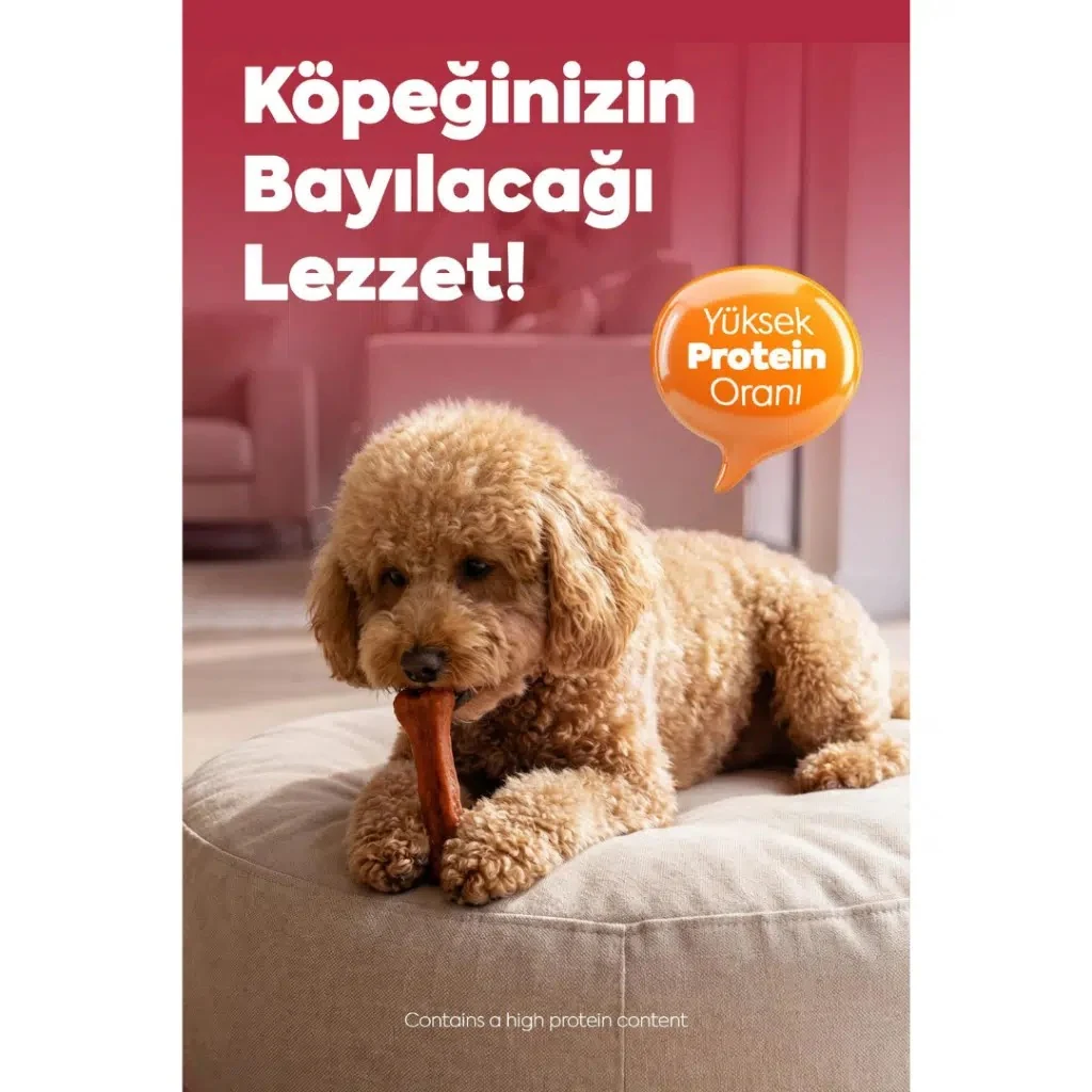 Görsel küçük resim 7