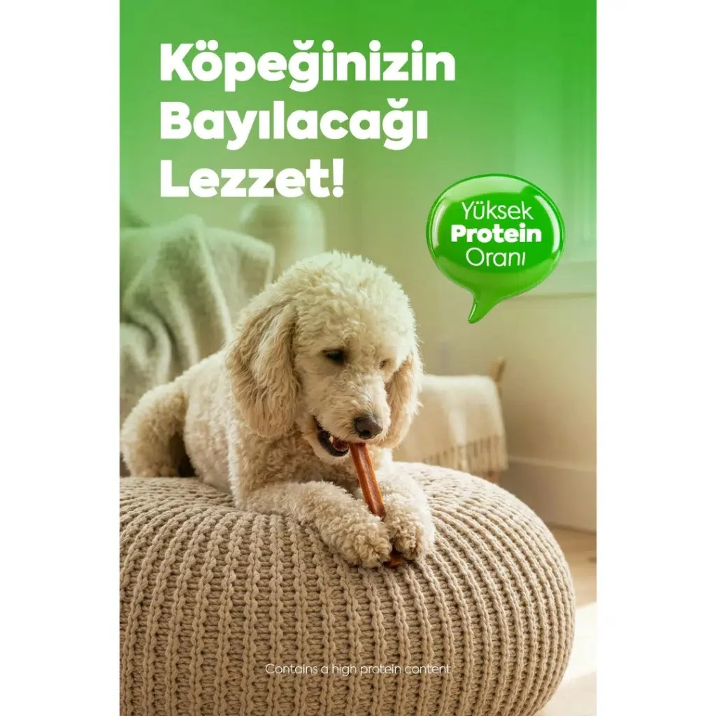 Görsel küçük resim 7