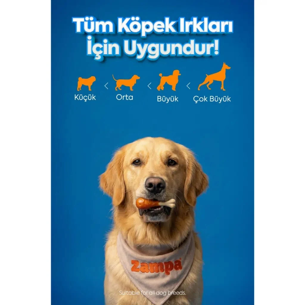 Görsel küçük resim 4