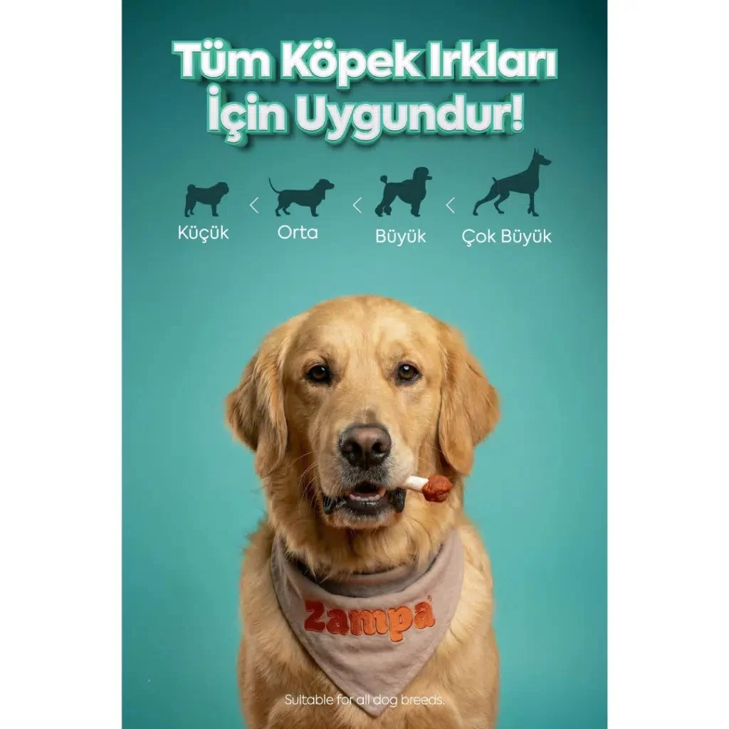 Görsel küçük resim 2