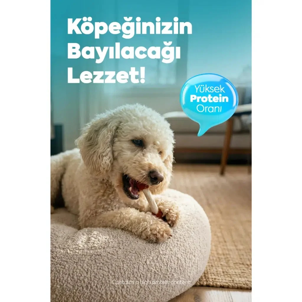 Görsel küçük resim 5