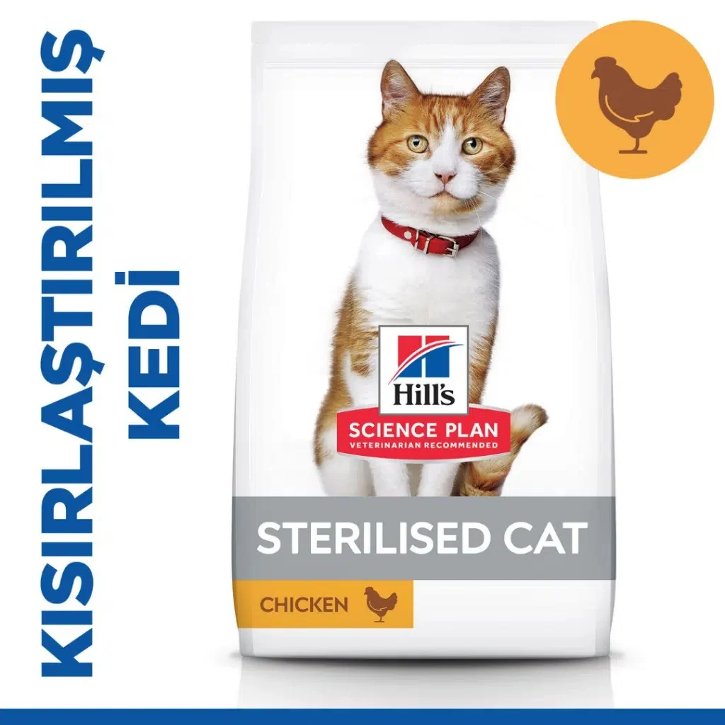 Görsel küçük resim 2