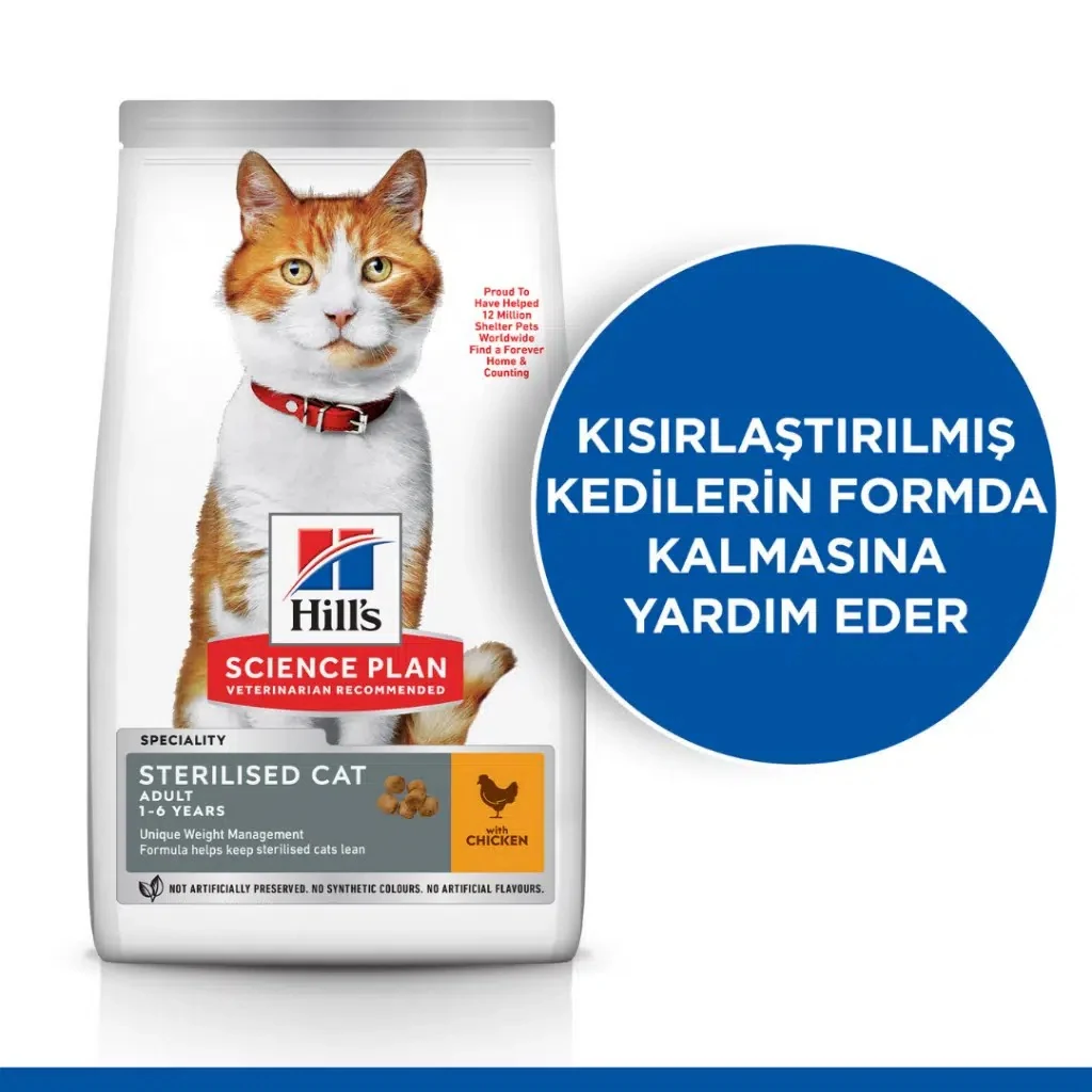 Görsel küçük resim 3