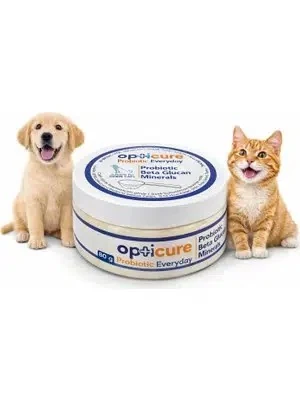 Opticure Kedi Köpek Probiotic Everyday 80 gr