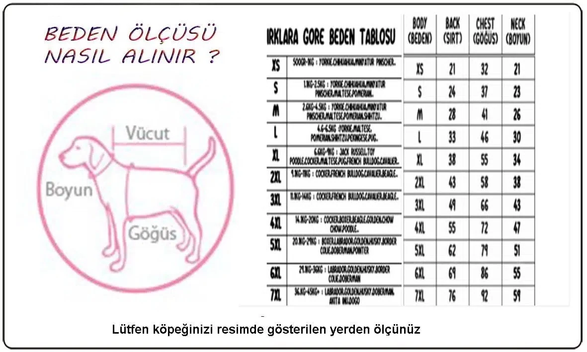Görsel küçük resim 4