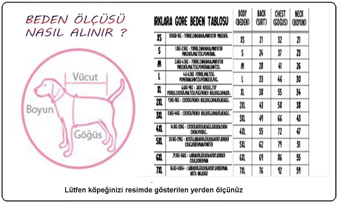Görsel küçük resim 3