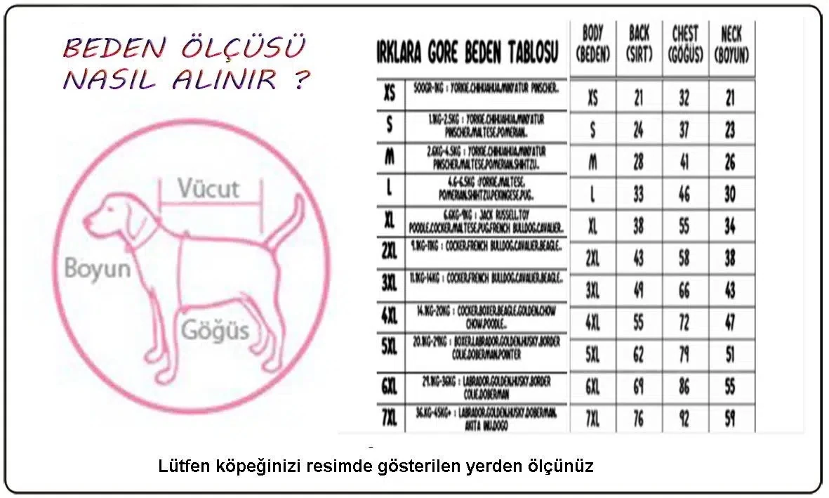 Görsel küçük resim 4