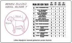 Görsel küçük resim 4