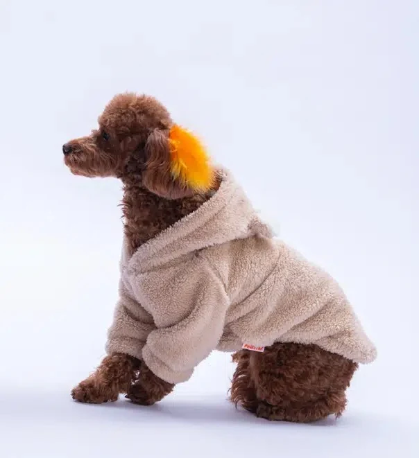 Pawstar Lucca Teddy Polarlı Sweat Bej XL 25725