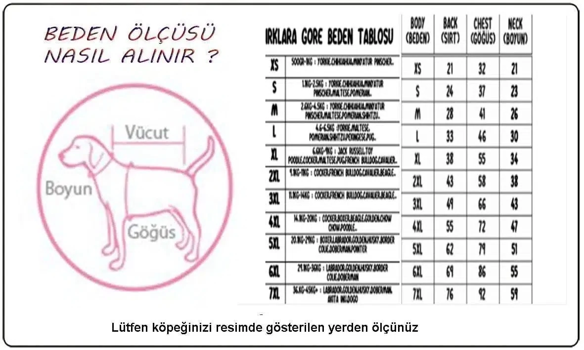 Görsel küçük resim 4
