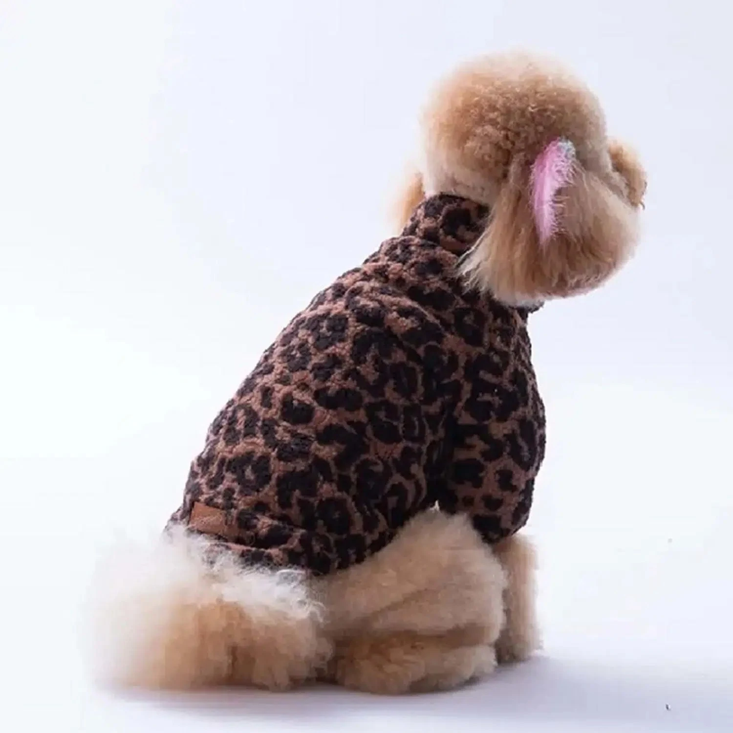 Pawstar Sri Lanka Leopar Polar Ceket 2XL 25200