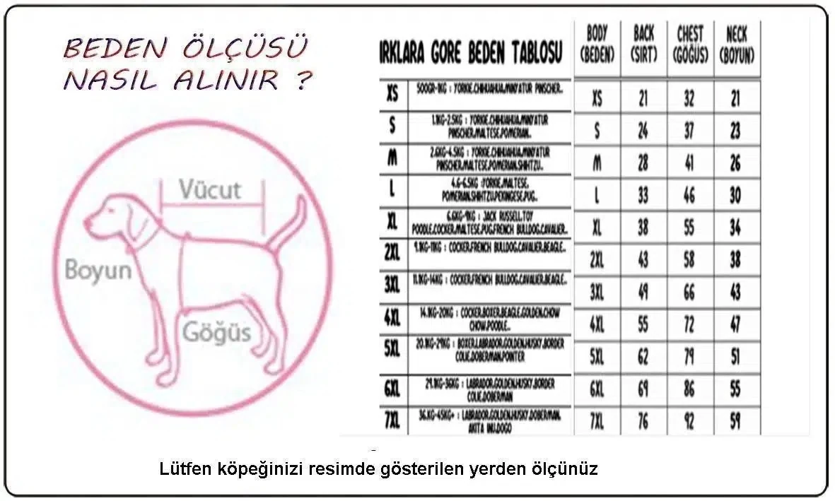 Görsel küçük resim 4