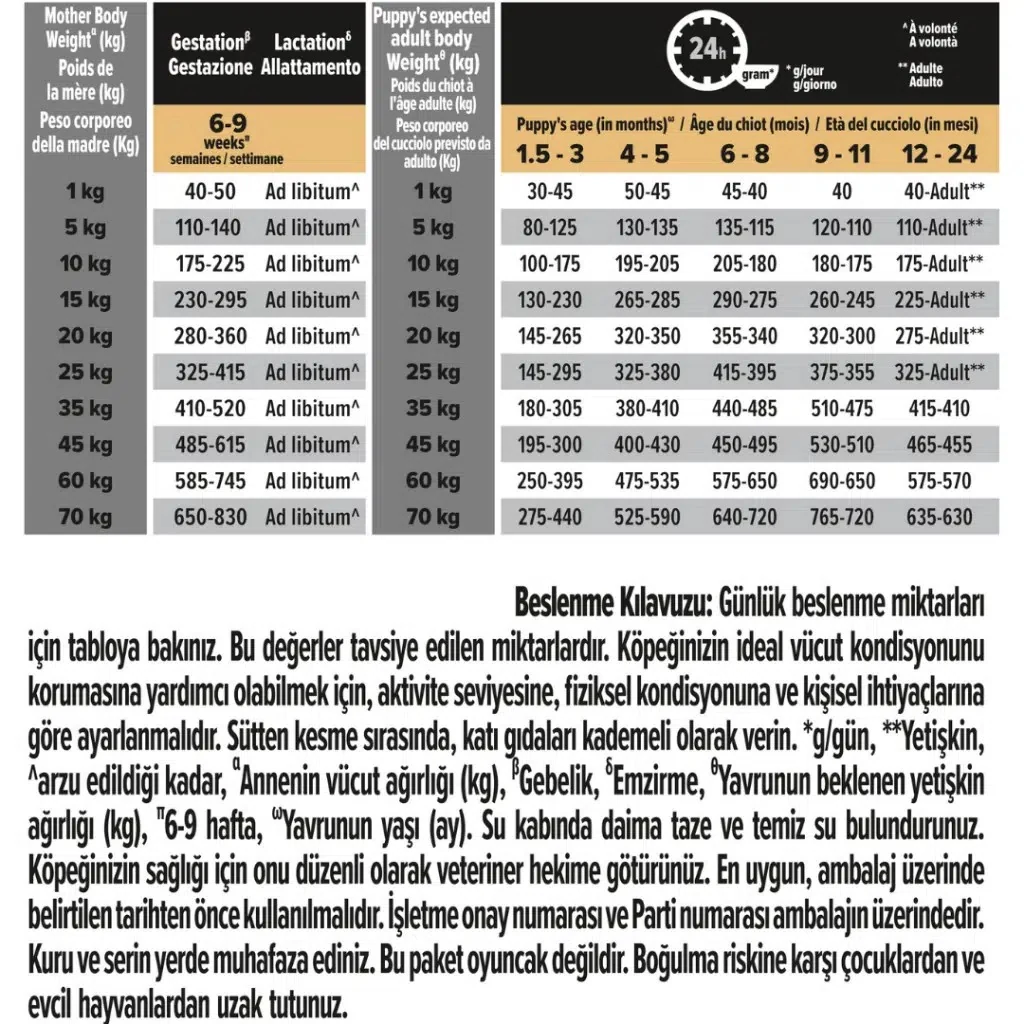 Görsel küçük resim 7