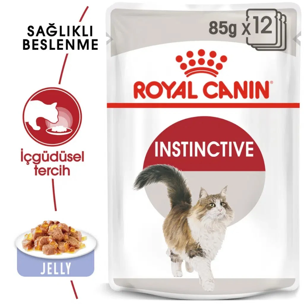 Görsel küçük resim 2