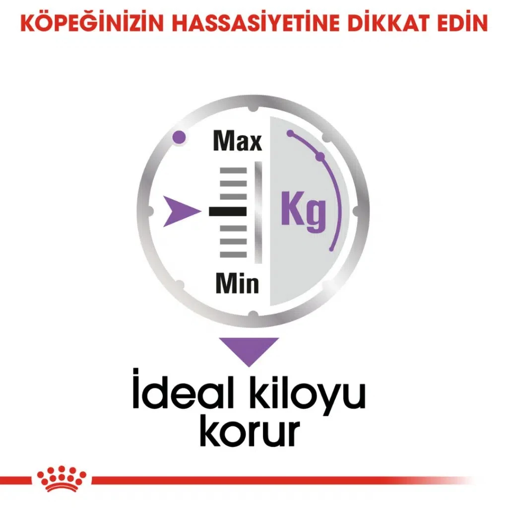 Görsel küçük resim 5