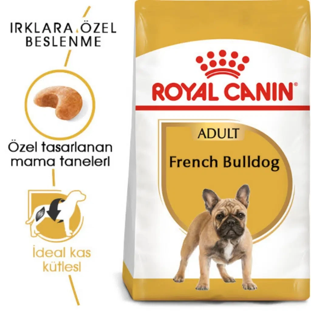 Görsel küçük resim 2
