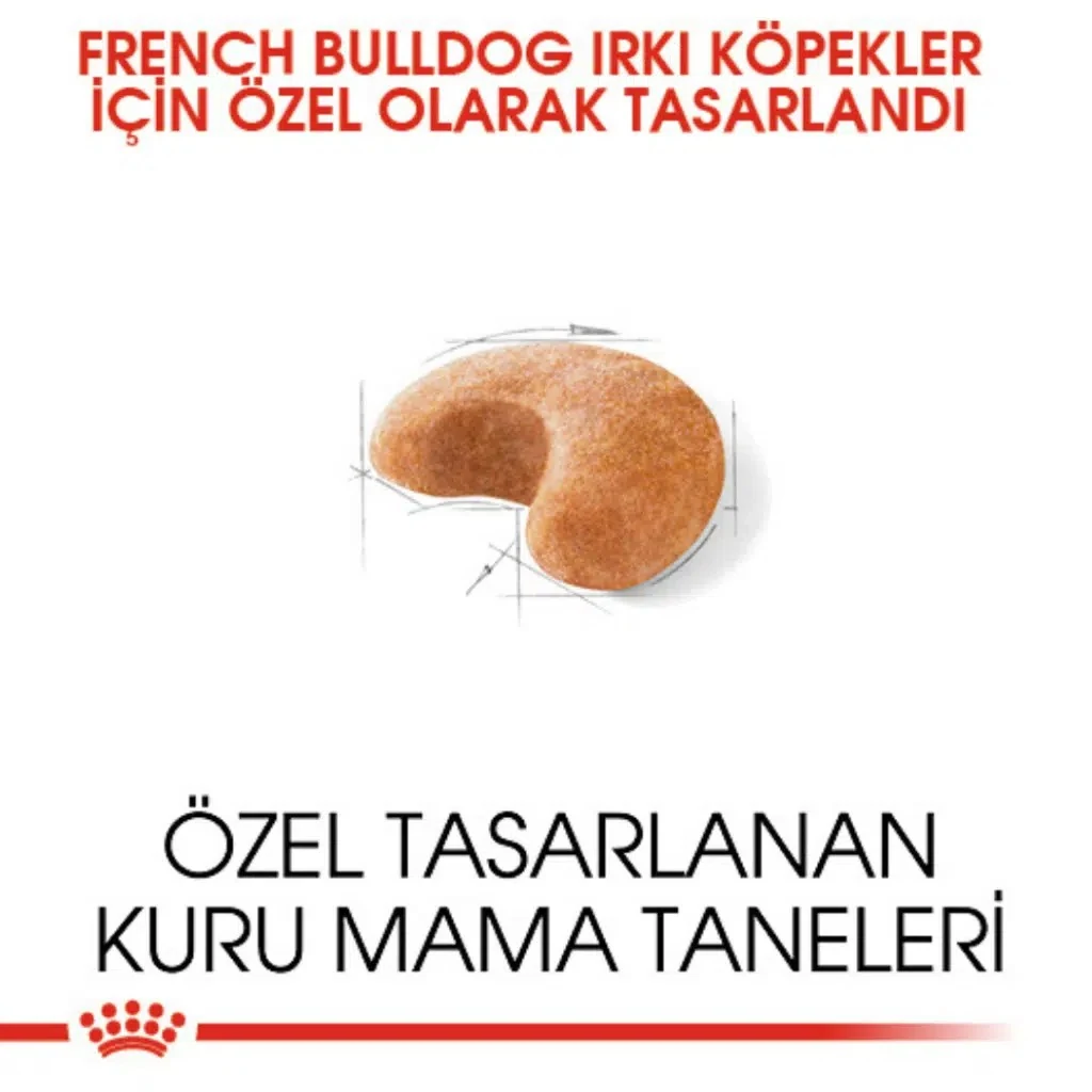 Görsel küçük resim 3