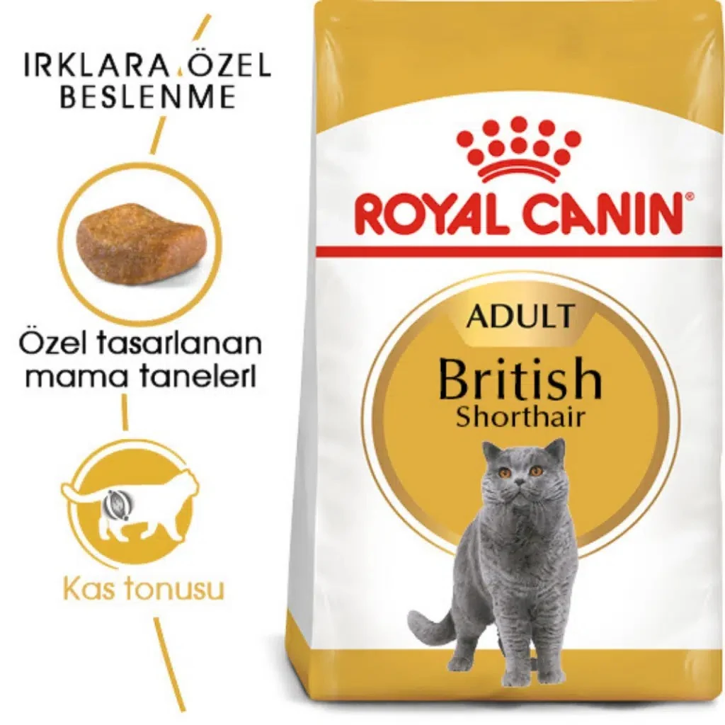Görsel küçük resim 2