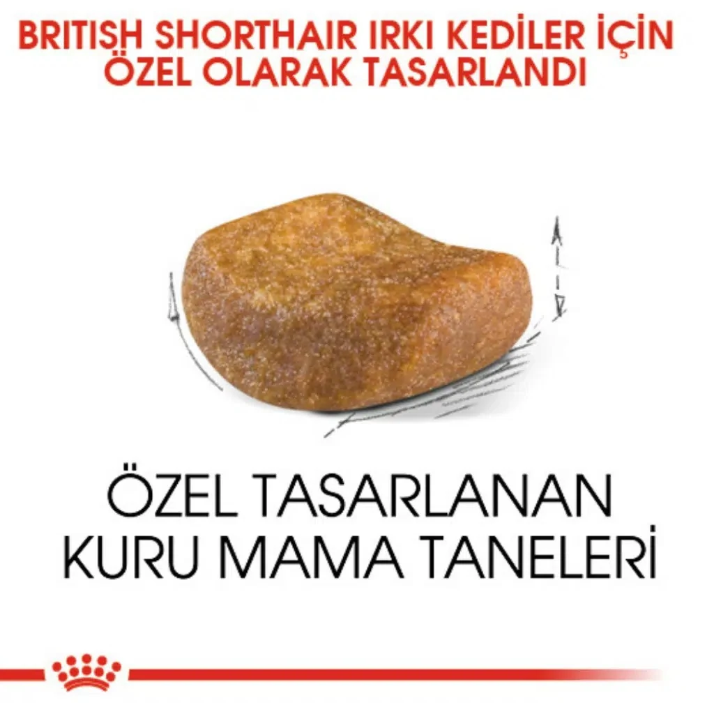 Görsel küçük resim 3