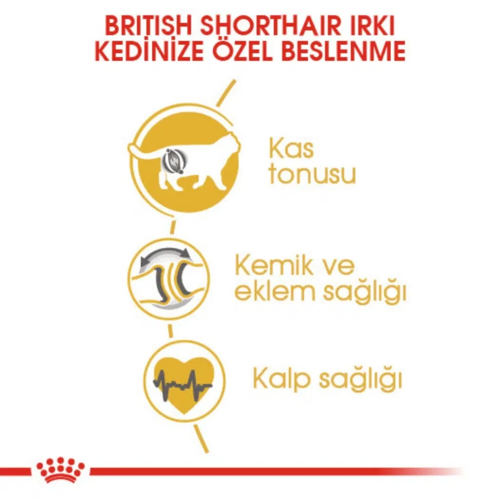 Görsel küçük resim 5