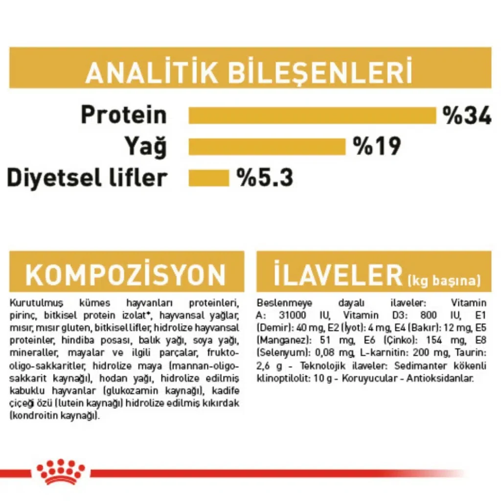 Görsel küçük resim 7