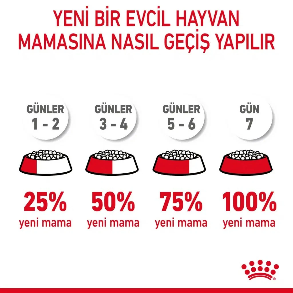 Görsel küçük resim 8