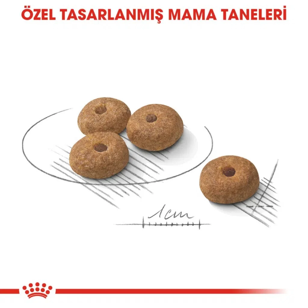 Görsel küçük resim 3