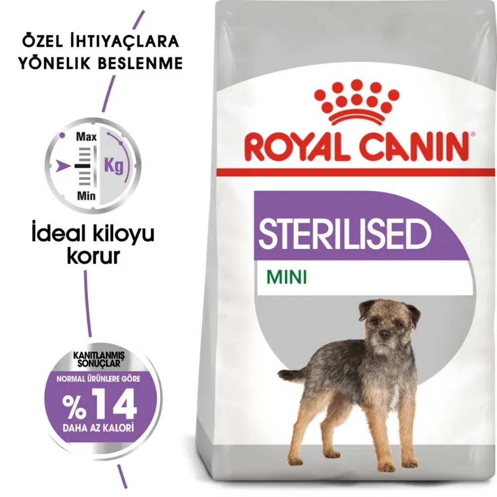 Görsel küçük resim 2