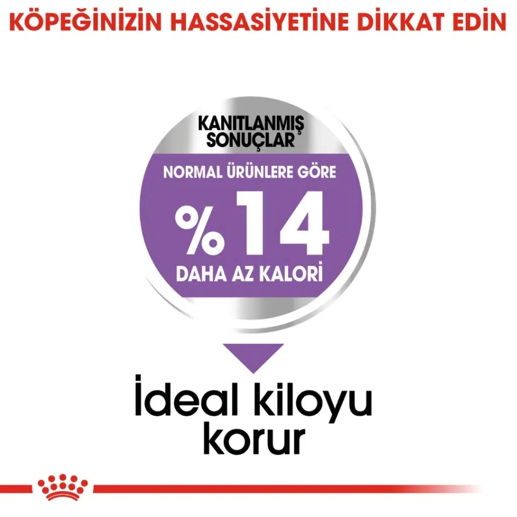 Görsel küçük resim 5
