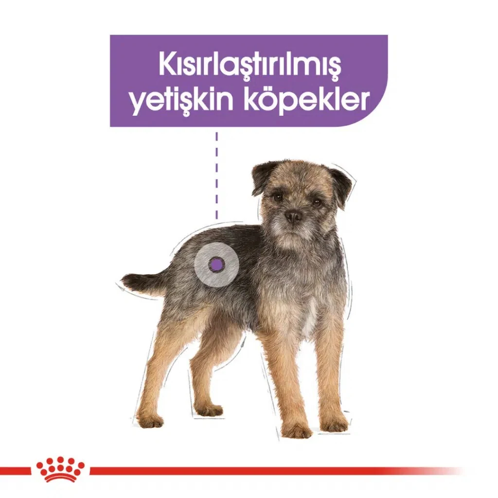 Görsel küçük resim 4