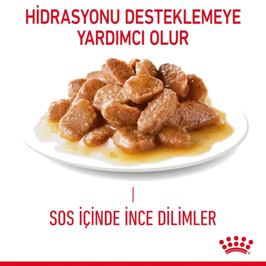 Görsel küçük resim 3